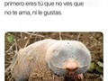 No hay casi nadie más ciego que el Topo Ciego - para mas chistes: Click aqui