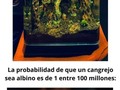 Imágenes que no se ven todos los días - para mas chistes: Click aqui