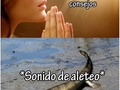 No podían ser ancestros más recientes… - para mas chistes: Click aqui