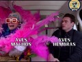 Por alguna razón, los machos son más vistosos - para mas chistes: Click aqui