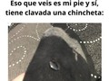 Personas que están teniendo un día peor que el tuyo - para mas chistes: Click aqui