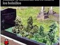 Empezó a germinar… - para mas chistes: Click aqui