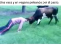 ¡Lo había visto yo primero! - para mas chistes: Click aqui