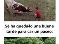 Animales que actuaron como seres humanos - para mas chistes: Click aqui