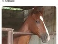 Si, claro… La primera… - para mas chistes: Click aqui
