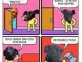 Lo que mi perro piensa cuando salgo un momento - para mas chistes: Click aqui