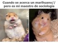 Cuando se acerca alguien que huele a plantas extrañas - para mas chistes: Click aqui
