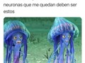 ¿Recordáis las medusas de ‘El espantatiburones’? - para mas chistes: Click aqui