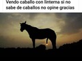 Caballo con linterna - para mas chistes: Click aqui