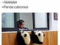 ¡Menuda panda! - para mas chistes: Click aqui