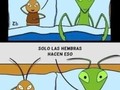 No sé qué prefería… - para mas chistes: Click aqui