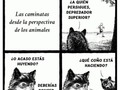 ¿Qué deben pensar los animales de nosotros? - para mas chistes: Click aqui
