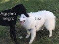Enseñado así, se entiende mejor - para mas chistes: Click aqui
