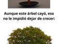 Imágenes que no se ven todos los días - para mas chistes: Click aqui