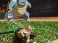 Cómo crear tu propio Blastoise - para mas chistes: Click aqui