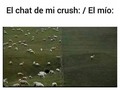 No soy el único pretendiente - para mas chistes: Click aqui
