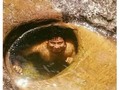 Ahí sigue - para mas chistes: Click aqui