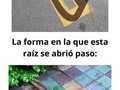 Imágenes que producen satisfacción - para mas chistes: Click aqui