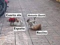 Así nos va… - para mas chistes: Click aqui