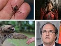 No hay hombre más insulso - para mas chistes: Click aqui