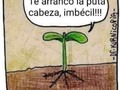 La tontería del día - para mas chistes: Click aqui