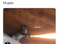 Es capaz de eso y mucho más - para mas chistes: Click aqui