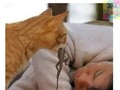 Mi gato siempre cuidándome - para mas chistes: Click aqui