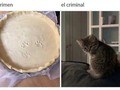 Típico - para mas chistes: Click aqui