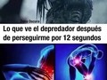No le daría demasiados problemas - para mas chistes: Click aqui
