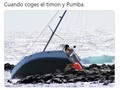 ¡Hakuna Matata! - para mas chistes: Click aqui