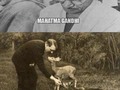 Gandhi tampoco tenía la razón absoluta - para mas chistes: Click aqui
