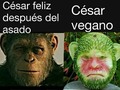 Nunca he visto a ningún vegano feliz - para mas chistes: Click aqui