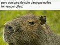 Todos deberíamos ser más carpinchos - para mas chistes: Click aqui