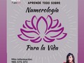 🌞 Numerología para entender la vida 🌞 Todo en el mundo vibra con energía numérica, los números revelan los patrones de la vida misma. Cada número tiene sus vibraciones energéticas únicas y propias, y representa fortalezas y oportunidades específicas.  Para la Numerología, los números asignados a cada uno de nosotros, especialmente a través de la fecha de nacimiento, forman el modelo energético de nuestra vida.   En numerología para la vida podemos ver principalmente: 🌞 Numerología de fecha de nacimiento 🌞 Numerología de pareja 🌞 Numerología de misión de vida 🌞 Numerología de karma  A cargo de: Lisset Solis Cassia Naturópata por el Instituto Hellen White, experta en biodescodificacion e iridiologia, por la escuela Latinoamericana en ciencias de la salud y terapias complementarias de Colombia, terapeuta de vibración de sonido.  Casa de Sanación Creadores de Luz✨  Informes: 985 575 373