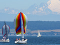 Sailboats and Mt. Baker in the background