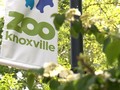 Zoo Knoxville receiving $500K for new educational reptile facility