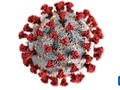 One good thing to come of this is the beautiful render of the virus