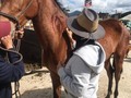 Debo confesar que me dan miedo los caballos 🙊🙈 Jornada Veterinaria para equinos SABESA&TEVA🤠  @sabesaguatemala . . . . . .  #horses #countrylife #tbt #vidanocampo