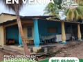 EN VENTA. LISTA PARA INVERTIR EN MATERIA GANADERA Y AGRÍCOLA.  📍 BARRANCAS, SECTOR CAMPO ALEGRE, MUNICIPIO CRUZ PAREDES, EDO. BARINAS.  La finca consta de 80 hectáreas ubicada a 3 Km de Barrancas vía la "Represa de Masparro". Uno de los plus mas importantes que trae se trata de todas las instalaciones a nivel industrial para la cría de ganado tipo porcino.  🔸 Posee una casa de 4 Hab., 3 Baños (todos privados), sala, cocina y comedor, habitación externa para depósito, corredor externo, tanque de agua aereo plastico de 2.000 Lts, 1 tanque de plastico 1.500 Lts y Tanque de cemento de 9.000 Lts. (se deja semi amoblada). 🔸 Caney con baño. 🔸 Perforación artesanal de aproximadamente 22 mts de profundidad y bomba sumergible de 3 hp y 2 pulgadas de salida. 🔸 Adicionalmente a ella, cuenta con 3 bombas mas. 🔸 Tendido eléctrico propio de corriente 220v y 110v. 🔸 Trapiche para la molienda de caña y elaboración de panela (todos sus implementos). 🔸 Cuatro (4) galpones para cría de cerdos con depósito cada uno de ellos,caja de breques, laguna de oxidación para desechos y base aerea para tanque de agua. - 1er galpón de batería de destete: con capacidad para 90 lechones. - 2do galpón gestación: con capacidad para 50 madres y 2 verracos. - 3er galpón maternidad: con dos baterías de destete y 10 jaulas maternales con pisos elevados de plástico. - 4to galpón ceba: con 16 cuartos de 20 m2 con capacidad para 20 cerdos y capacidad total para 320 cerdos. Con deposito, techo de acerolit de primera. Tanque de agua con capacidad de 50.000 litros. 🔸 Tierras ganaderas y agrícolas, sistema de riego actualmente inactivo.  PRECIO DE OPORTUNIDAD: 🎁 65.000 USD 🎁 Si estas buscando oportunidad de inversión en el área de ganadería, esto es para tí.  COMUNÍCATE CON NOSOTROS PARA MAYOR INFORMACIÓN DE ÉSTE INMUEBLES Y MUCHOS OTROS MAS QUE TENEMOS PARA TÍ. 👉🏻📱  • Neyda Coronado - Gerente de ventas. 📲 0414-4107455  • Janette Díaz - Departamento Legal. 📲 0414-5684733  •Oficina Central: ☎️0273-5412952