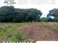 EN VENTA. LISTA PARA INVERTIR EN MATERIA GANADERA Y AGRÍCOLA.  📍 BARRANCAS, SECTOR CAMPO ALEGRE, MUNICIPIO CRUZ PAREDES, EDO. BARINAS.  La finca consta de 80 hectáreas ubicada a 3 Km de Barrancas vía la "Represa de Masparro". Uno de los plus mas importantes que trae se trata de todas las instalaciones a nivel industrial para la cría de ganado tipo porcino.  🔸 Posee una casa de 4 Hab., 3 Baños (todos privados), sala, cocina y comedor, habitación externa para depósito, corredor externo, tanque de agua aereo plastico de 2.000 Lts, 1 tanque de plastico 1.500 Lts y Tanque de cemento de 9.000 Lts. (se deja semi amoblada). 🔸 Caney con baño. 🔸 Perforación artesanal de aproximadamente 22 mts de profundidad y bomba sumergible de 3 hp y 2 pulgadas de salida. 🔸 Adicionalmente a ella, cuenta con 3 bombas mas. 🔸 Tendido eléctrico propio de corriente 220v y 110v. 🔸 Trapiche para la molienda de caña y elaboración de panela (todos sus implementos). 🔸 Cuatro (4) galpones para cría de cerdos con depósito cada uno de ellos,caja de breques, laguna de oxidación para desechos y base aerea para tanque de agua. - 1er galpón de batería de destete: con capacidad para 90 lechones. - 2do galpón gestación: con capacidad para 50 madres y 2 verracos. - 3er galpón maternidad: con dos baterías de destete y 10 jaulas maternales con pisos elevados de plástico. - 4to galpón ceba: con 16 cuartos de 20 m2 con capacidad para 20 cerdos y capacidad total para 320 cerdos. Con deposito, techo de acerolit de primera. Tanque de agua con capacidad de 50.000 litros. 🔸 Tierras ganaderas y agrícolas, sistema de riego actualmente inactivo.  PRECIO DE OPORTUNIDAD: 🎁 65.000 USD 🎁 Si estas buscando oportunidad de inversión en el área de ganadería, esto es para tí.  COMUNÍCATE CON NOSOTROS PARA MAYOR INFORMACIÓN DE ÉSTE INMUEBLES Y MUCHOS OTROS MAS QUE TENEMOS PARA TÍ. 👉🏻📱  • Neyda Coronado - Gerente de ventas. 📲 0414-4107455  • Janette Díaz - Departamento Legal. 📲 0414-5684733  •Oficina Central: ☎️0273-5412952