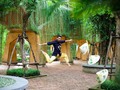 #Dancer #VietnamStyle . . . Ph: @alex_birra_