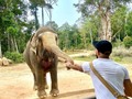 Im in Love with this animals 🤩🤩
