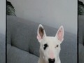 Pablo el que cuida…….