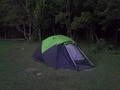 Tips Para comprar una carpa Parte I ⛺ . Si quieren realizar la primera compra de su carpa, tengan en cuenta que influye mucho el tipo de marca que elijan, de esto dependerá la calidad de los materiales 🙌 Les voy a compartir algunas cositas para que se sientan más segurxs a la hora de comprar 🛒 . ✔️Peso, Importante, ya que de eso dependerá la comodidad y el bienestar de nuestra espalda, busquemos que no sea muy pesada y recuerden que si van en grupo, pueden distribuir el peso de la carpa entre todxs, de este modo ningúnx genera un mayor esfuerzo 👏 ✔️Espesor y material de la varillas, estás se confeccionan en dos tipos de materiales: Fibra de vidrio y Aluminio. Si son de fibra de vidrio, poseen diferentes espesores y varían según el tamaño de la carpa, si va a ser para 2, para 4, irán en aumento... Tengan en cuenta que posean un buen grosor, por qué si son muy finas fácilmente se rompen ❌. Si son de aluminio se usan más para carpas especiales de alta montaña, donde la exigencia climática es extrema, por ello no les recomiendo que las lleven a playa, ya que con el salitre se desgastan y debilitan las varillas🌊 . Está bueno por si acaso tener repuestos a mano😉 . ✔️El Sobre techo, Para que tengan la tranquilidad de que si llueve no vaya a entrar agua y puedan llevar su carpa a diversos entornos les recomiendo siempre un sobre techo Completo. Recuerden que una buena instalación es fundamental, otra cosa que tenemos que tener presente es si se puede desmontar o no este sobretecho, si se puede sabremos que la podemos llevar a climas calurosos para estar más ventilados 🌞 ✔️Dimensiones, Aquí solo hago una aclaración, mientras más alta sea nuestra carpa más propensa será en lugares con mucho viento a que se puedan romper las varillas, es más peso pero... obvio que mientras más grande más comodidad 😁 . En un próximo post les subo el resto de los tips y próximamente voy a armar un Igtv explicando 🙌 . . . #blogdeviajes⁠ #excursion #tourists ⁠ #travelaroundtheworld #campingtips #berneroberland #tents #carpa #mountains #mountainlovers #berge #feelthealps #bealpine #hiking #hikingadventures #viajaresvivir #viajerosporelmundo #naturelovers #naturephoto #bestview #bosque