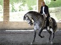 Hoy me monté a caballo, quien me quiere acompañar? 🐎