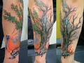 #tattoo #colortattoo #tree #treetattoo hoy en @lienzovivo #tattooshop #bogota #colombia