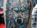 Una mejor foto, #lobo #wolf #tatuaje #wolftattoo #tattoo #whitewolf #colortattoo hecho en mi tienda @lienzovivo #inkedup #ink #bogotá #colombia @cheyenne_tattooequipment