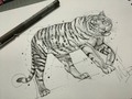 #tigre #tiger #sketch #draw #tattoodesign @lienzovivo