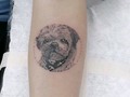 Homenaje para Lucas...  #tattoo #wipshadingtattoo #puntillismodearrastre #blackworktattoo #smalltattoo #dog #love #doglover #video #viral #lienzovivo #tattooshop #bogota #colombia #miloguecha  @lienzovivo