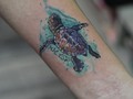 Otro de ayer en @lienzovivo #tattooshop  Tatuaje para @yolanda_mogo  #tattoo #colortattoo #turtle #seaturtle #seaturtletattoo #seaturtleconservation #littleturtle #tortugamarina #female #femaletattoo #miloguecha #bogota #colombia #lienzovivo